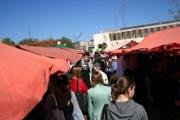 DIADA CULTURAL UNIVERSITARIA  2008 031_jpg.jpg