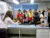 laboratorio fisica no lineal-1.jpg