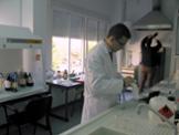 img 036.jpg
