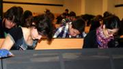 img 031.jpg