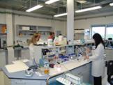 Laboratorio.JPG