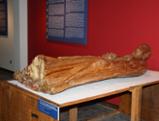 img 001.jpg