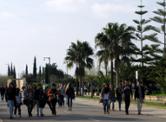 img 073.jpg
