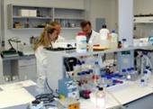 1-Laboratorio.JPG