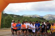 7-IMG_0886.JPG
