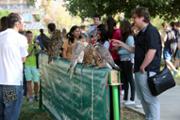 42-IMG_0947.JPG