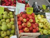 08-IMG_9185.JPG