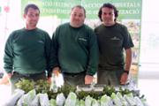 11/12/2014 Mercadet de comer just, entitats socials i artesania local