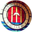 logo uib vidres.jpg