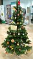 arbre5.jpg