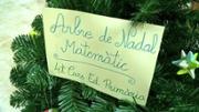 arbre1.jpg