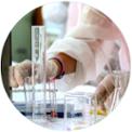 LABORATORI.jpg