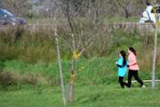 29-IMG_2534.JPG