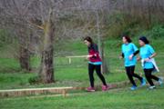 45-IMG_2550.JPG