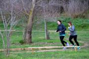 37-IMG_2542.JPG