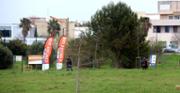 48-IMG_3100.JPG