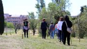 27/04/2015 Taller d'iniciaci a la marxa nrdica, a crrec de Glria Franquet (monitora de Nordic Walking Palma)