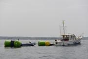 08-_DSC1490.JPG