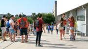 Campus universitari, Palma