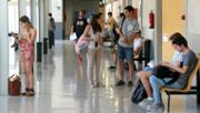 Campus universitari, Palma