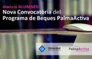 DIRCOM 000banner-palma-activa.jpg