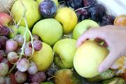 4-IMG_3395.JPG