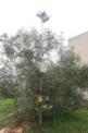 07-IMG_4718.JPG