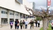 23-IMG_9247.JPG