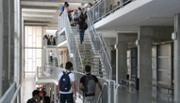 Campus universitari, Palma