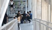Campus universitari, Palma