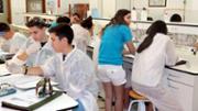 Segon torn. Del 4 de juliol al 8 de juliol de 2016 (alumnes de Mallorca, Menorca, Eivissa i Formentera)