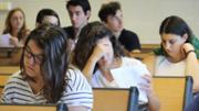 Campus universitari, Palma
