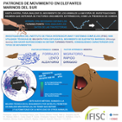 Infografa_ElefantesMarinos.png