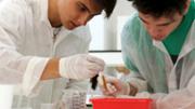 Qumica Fem cuina? fent cincia  Laboratori Demolab. Edifici Mateu Orfila i Rotger