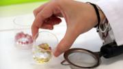 Qumica Fem cuina? fent cincia  Laboratori Demolab. Edifici Mateu Orfila i Rotger
