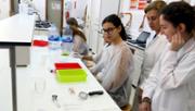 Qumica Fem cuina? fent cincia  Laboratori Demolab. Edifici Mateu Orfila i Rotger