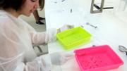 Qumica Fem cuina? fent cincia  Laboratori Demolab. Edifici Mateu Orfila i Rotger