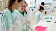 Qumica Fem cuina? fent cincia  Laboratori Demolab. Edifici Mateu Orfila i Rotger