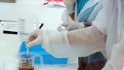 Qumica Fem cuina? fent cincia  Laboratori Demolab. Edifici Mateu Orfila i Rotger