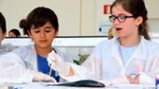 Biologia: De la mar a l'aula. Gyotaku. Laboratori 16, edifici Mateu Orfila i Rotger