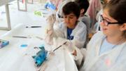 Biologia: De la mar a l'aula. Gyotaku. Laboratori 16, edifici Mateu Orfila i Rotger