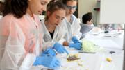 Biologia: De la mar a l'aula. Gyotaku. Laboratori 16, edifici Mateu Orfila i Rotger