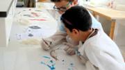 Biologia: De la mar a l'aula. Gyotaku. Laboratori 16, edifici Mateu Orfila i Rotger