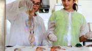 Biologia: De la mar a l'aula. Gyotaku. Laboratori 16, edifici Mateu Orfila i Rotger