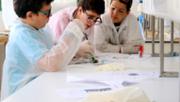 Biologia: De la mar a l'aula. Gyotaku. Laboratori 16, edifici Mateu Orfila i Rotger
