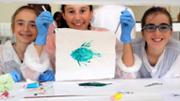 Biologia: De la mar a l'aula. Gyotaku. Laboratori 16, edifici Mateu Orfila i Rotger