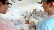 Biologia: De la mar a l'aula. Gyotaku. Laboratori 16, edifici Mateu Orfila i Rotger
