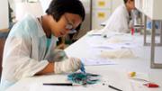 Biologia: De la mar a l'aula. Gyotaku. Laboratori 16, edifici Mateu Orfila i Rotger