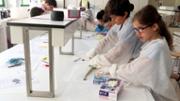 Biologia: De la mar a l'aula. Gyotaku. Laboratori 16, edifici Mateu Orfila i Rotger