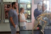 10-IMG_8948.JPG